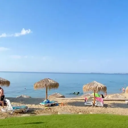Apartman Diana 204 Διαμέρισμα